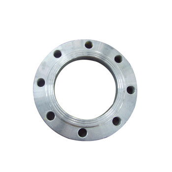 ASTM A182 / F316 / 316L ເຫລັກສະແຕນເລດ Forged Flanges 